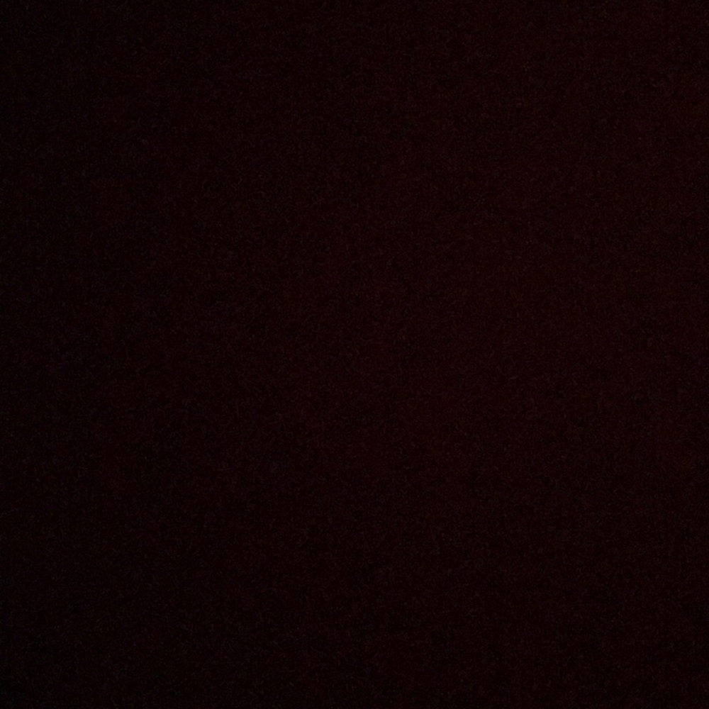 Meet your Posher, Molly